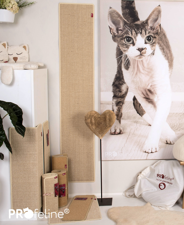 katzenmoebel Kratzmatten für Katzen Boutique
