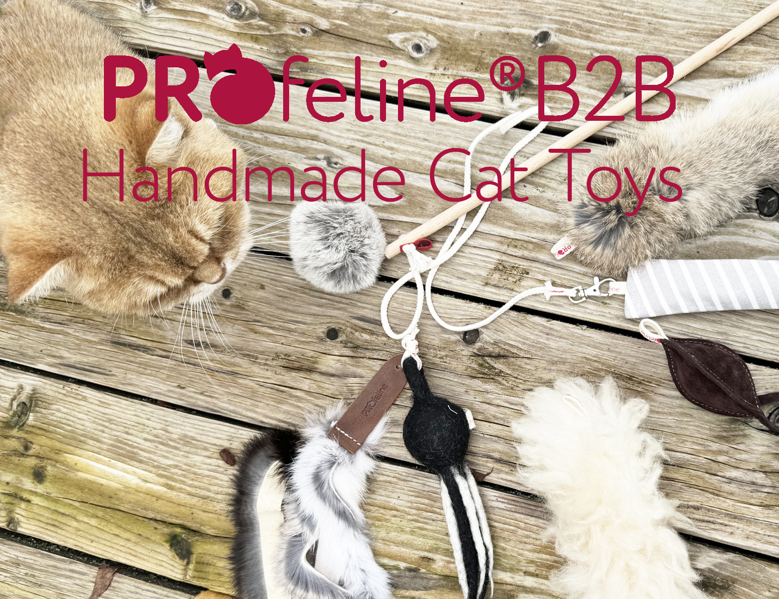 Handmade Cat Toys from Germany