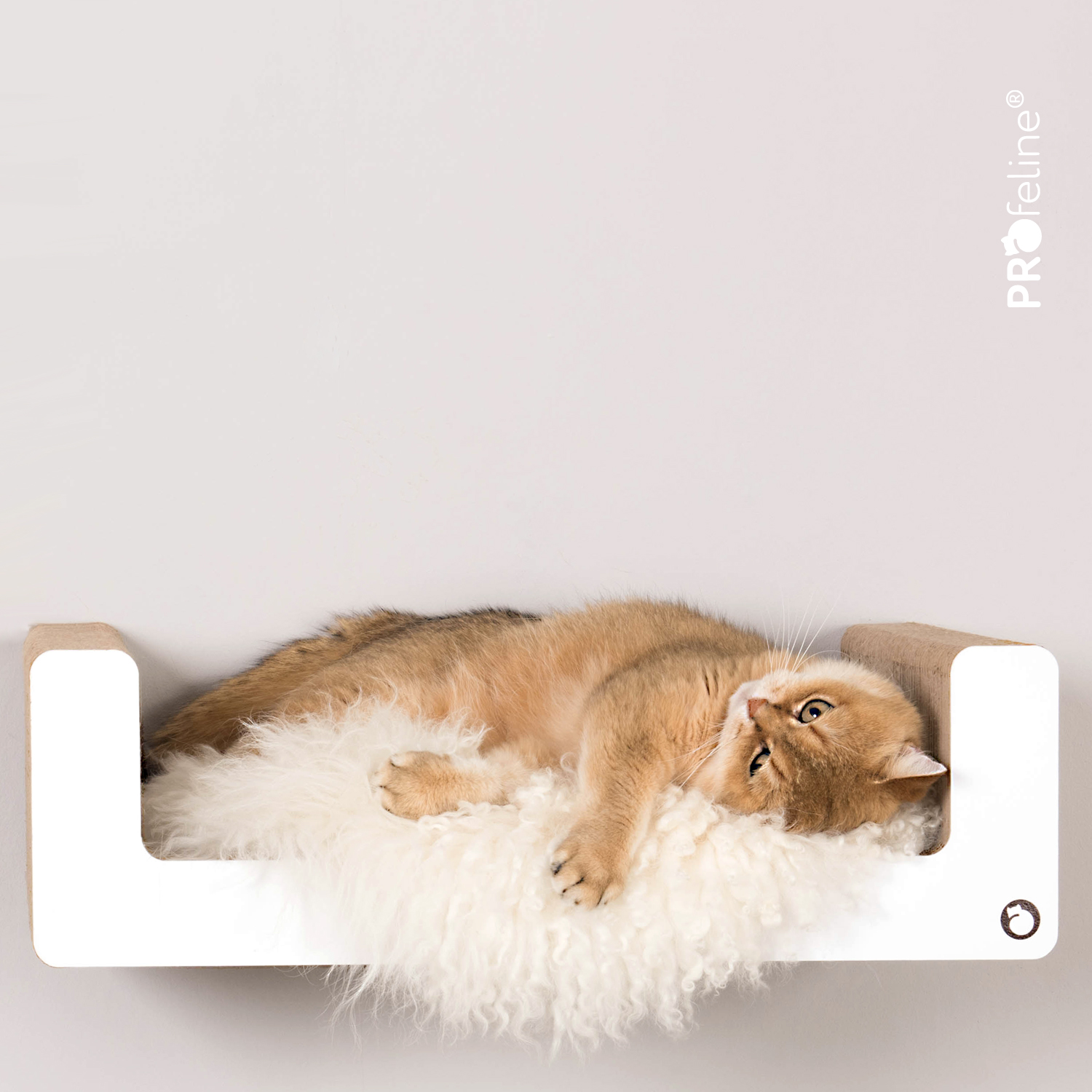 Wall Scratching Furniture Gaja Katzen Wandliege aus Pappe