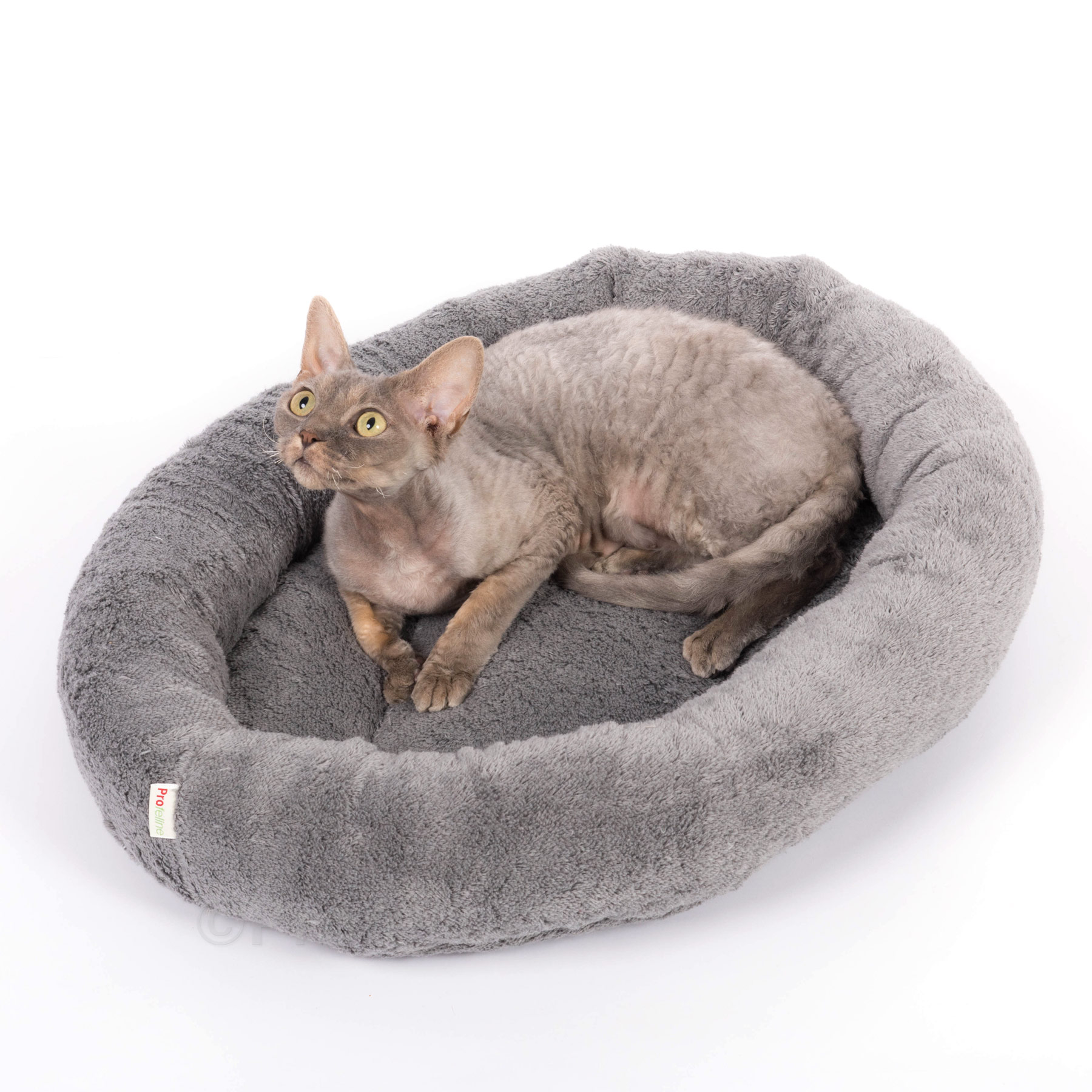 katzenbett_feline_oval_cs_katze1 Cad Bed Feline oval Classicsilver