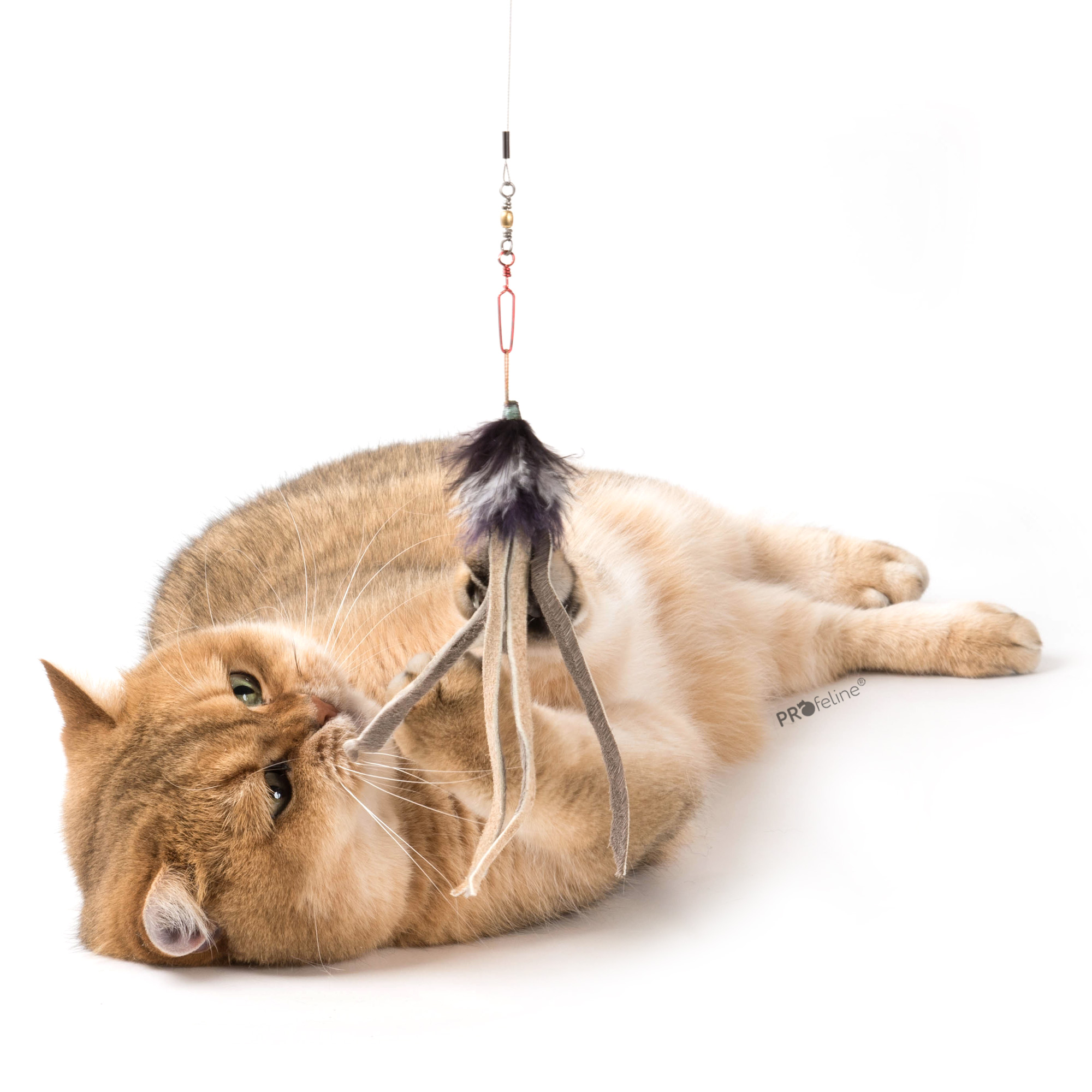 cat-toy-refill-Leather-Fringes-cat