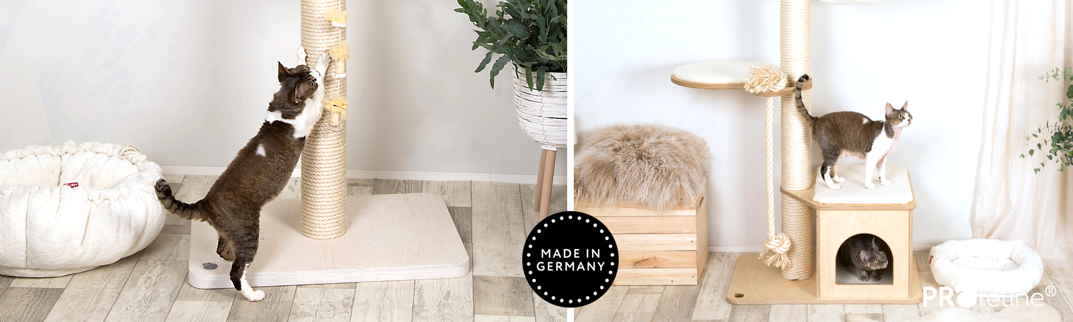 Kratzbaum Bodenplatten Vollholz schwer