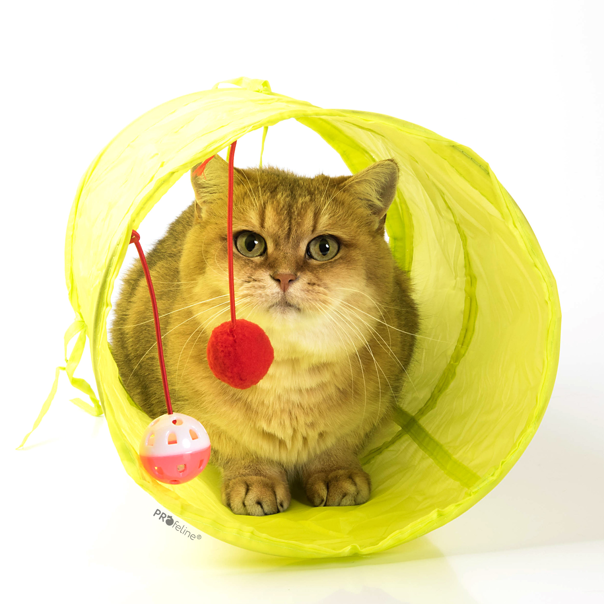 cat-tunnel-yellow-50cm Cat Fun Tunnel Yellow