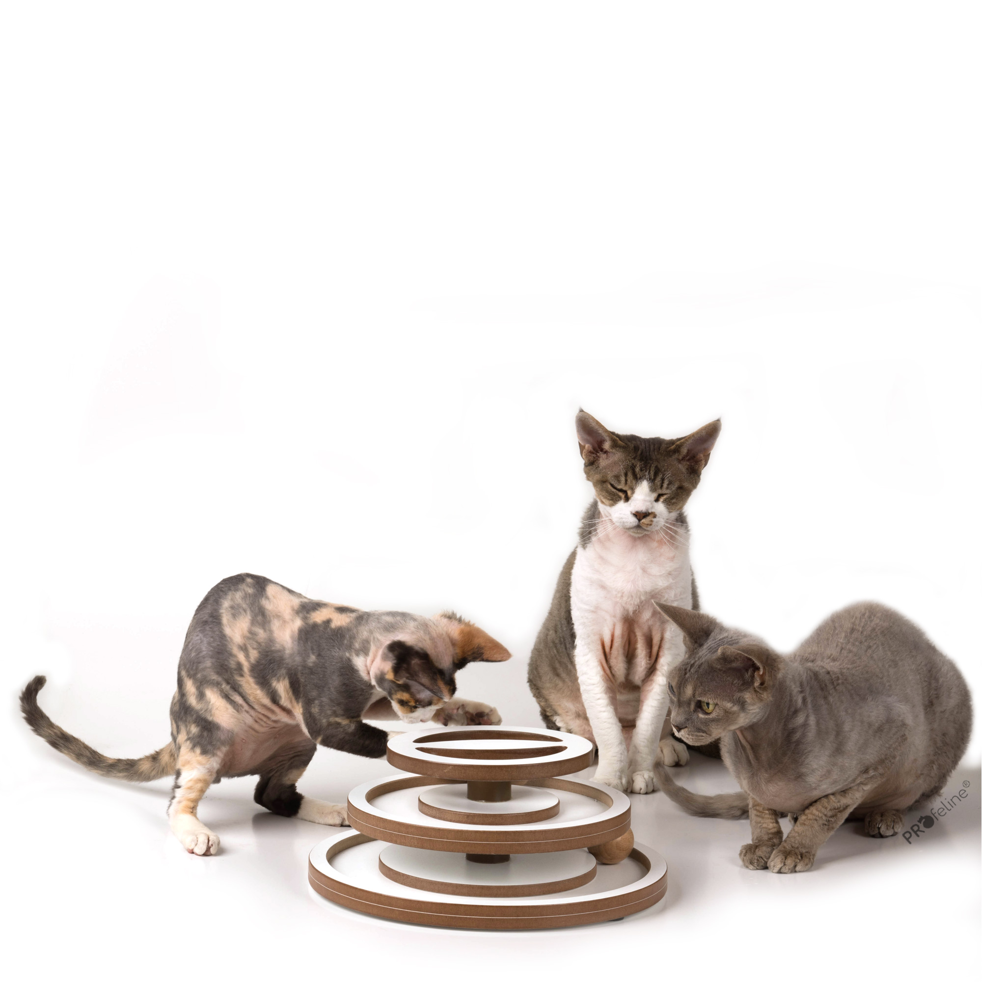 Katzen Cat Track holz