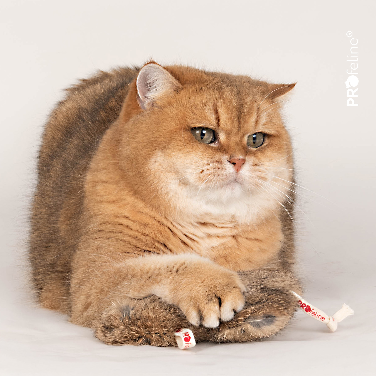 Befüllbares Katzenspielzeug Munchy Hamster