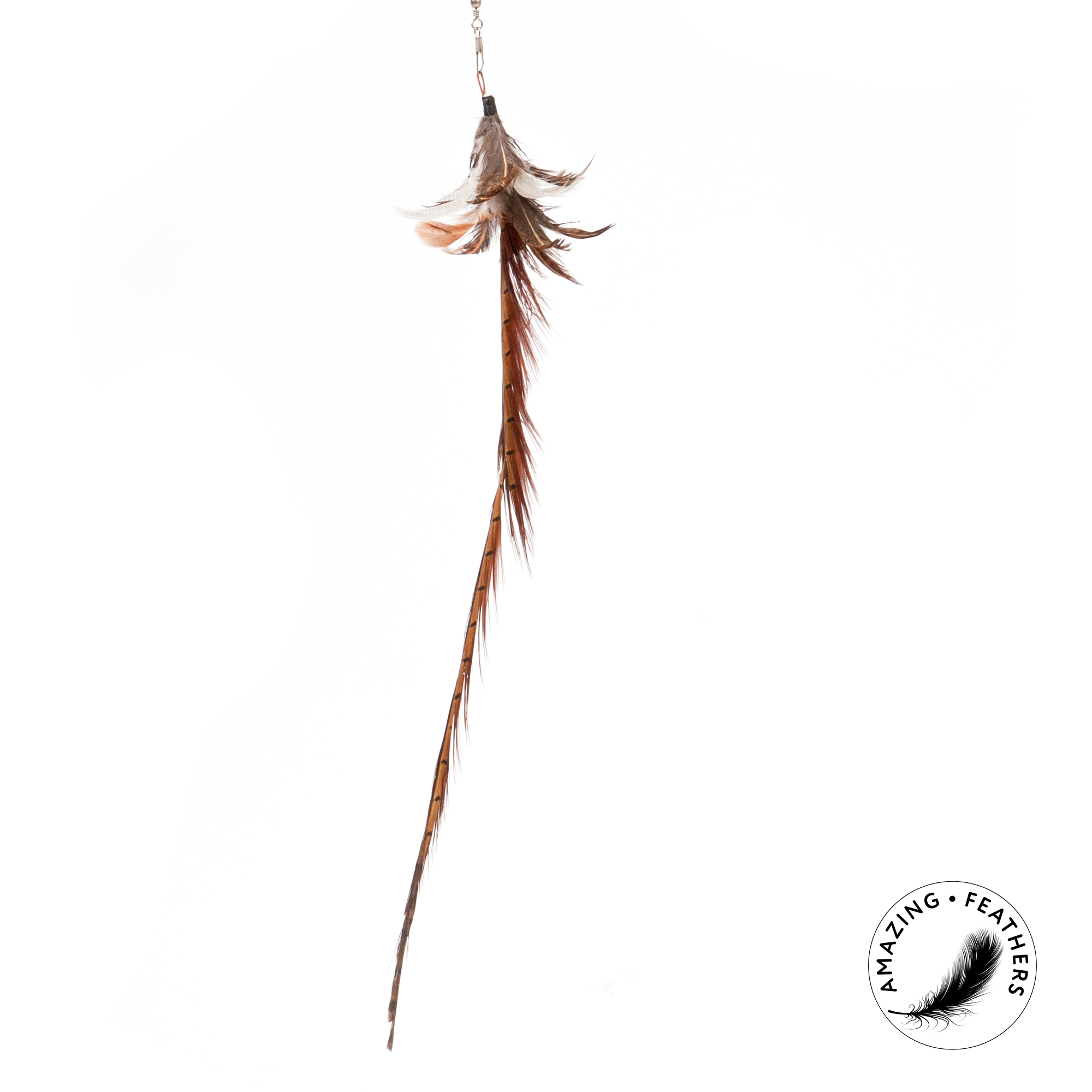 cat-toys-pheasant-longtail-refill-SSP194PL-2