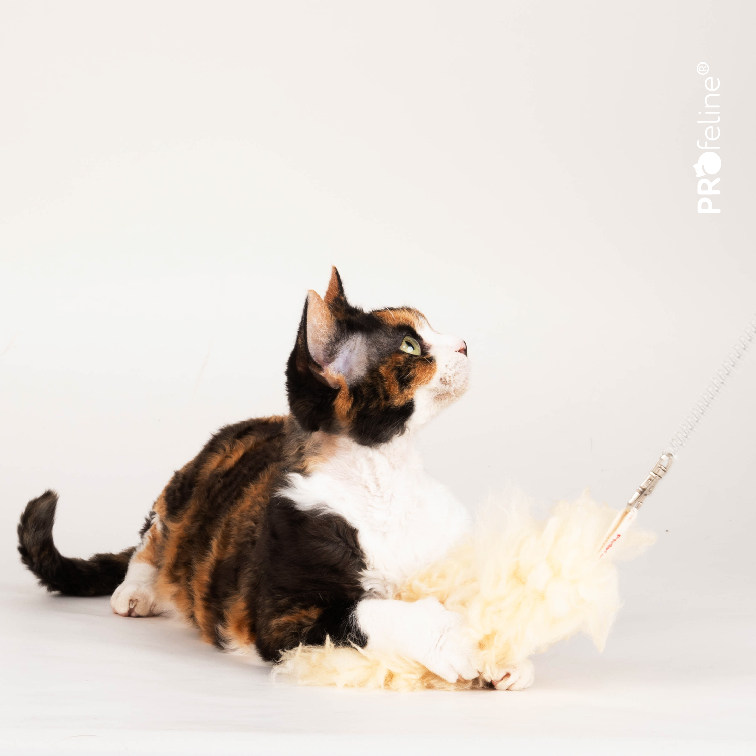 Katzenspielzeug echtes Schaffell