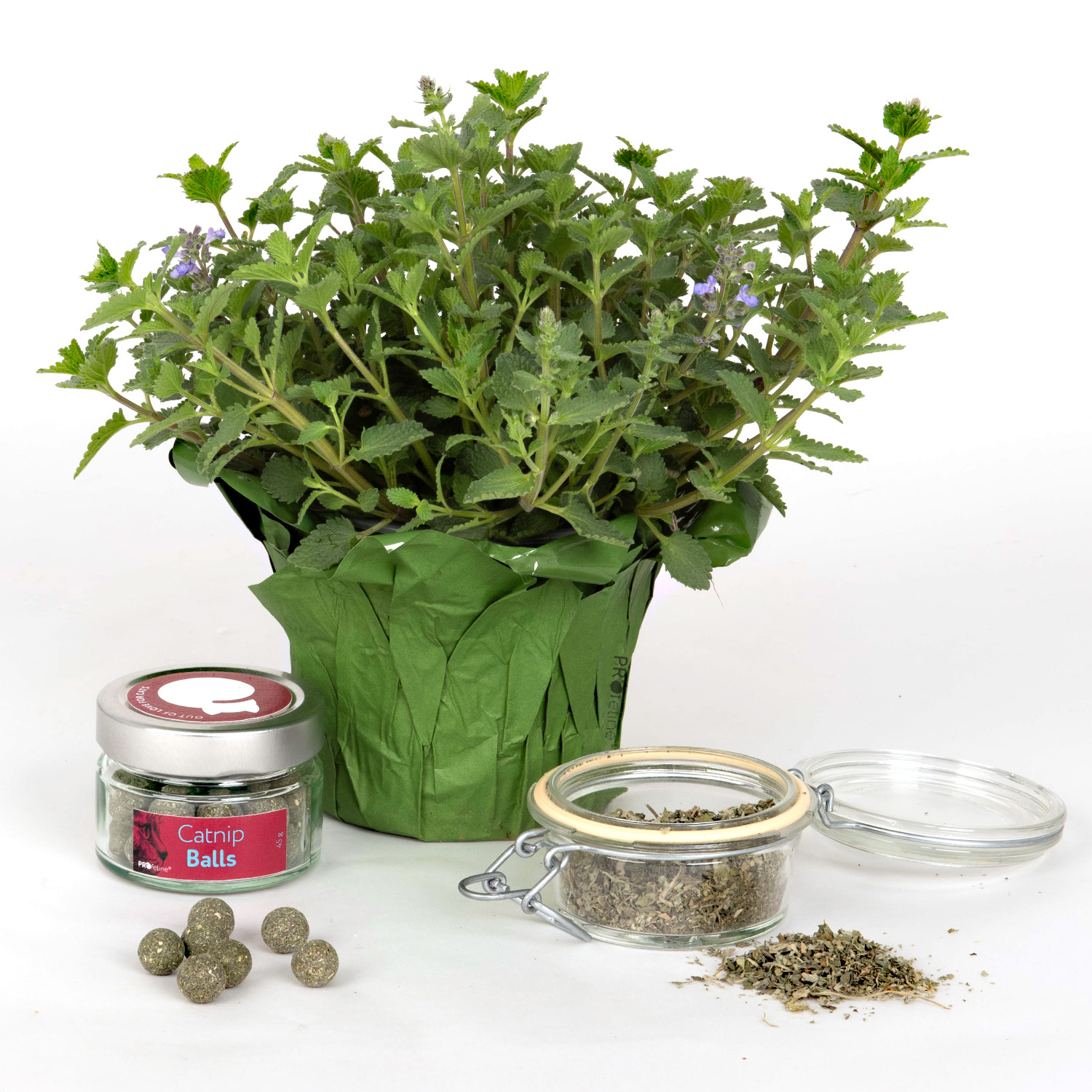 Catnip Balls / Katzenminze Bälle