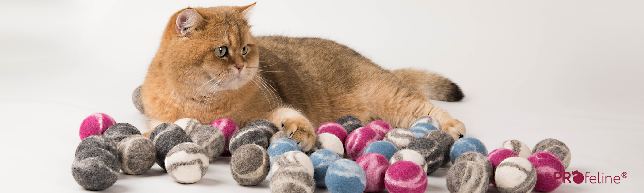 Katzenspielzeug Filzbaelle 100% Schurwolle