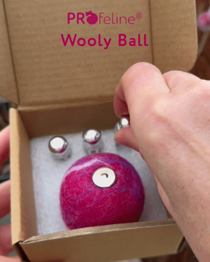 Profeline - WoollyBalls