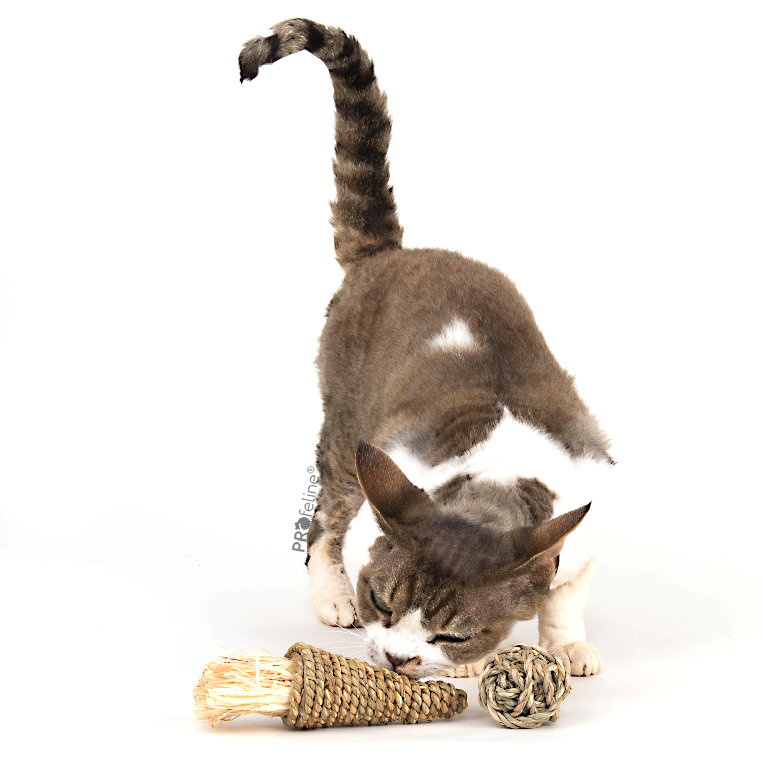 Plant Roller Toys Naturspielzeug für Katzen Ball und Kegel