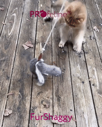 Profeline - FurShaggy Rabbit Refill / Anhänger Kaninchenfell Anhänger für Katzenangeln
