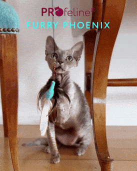 Furry Phoenix / Anhänger Katzenspielzeug Furry Phoenix