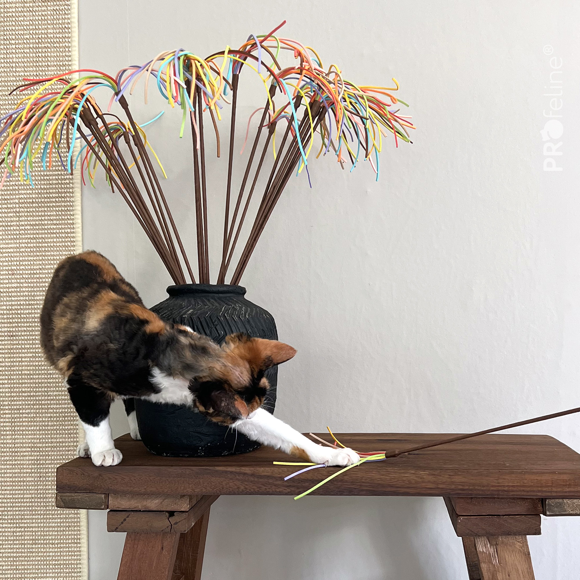 Katzenwedel Lederbänder