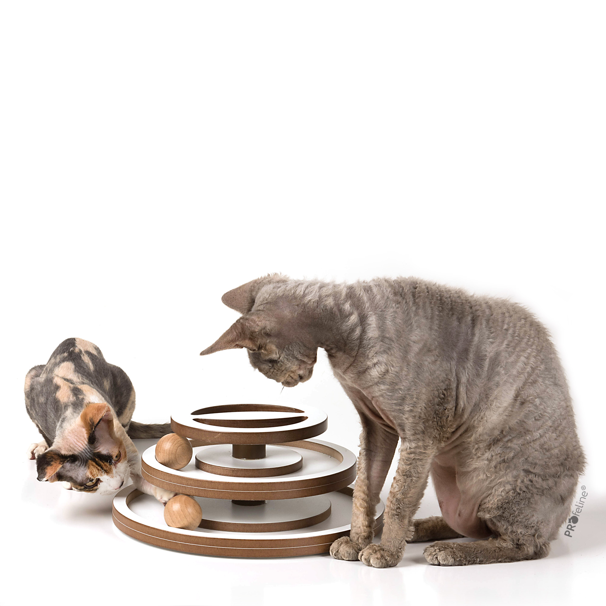 Wooden Cat Track Wooden Cat Track