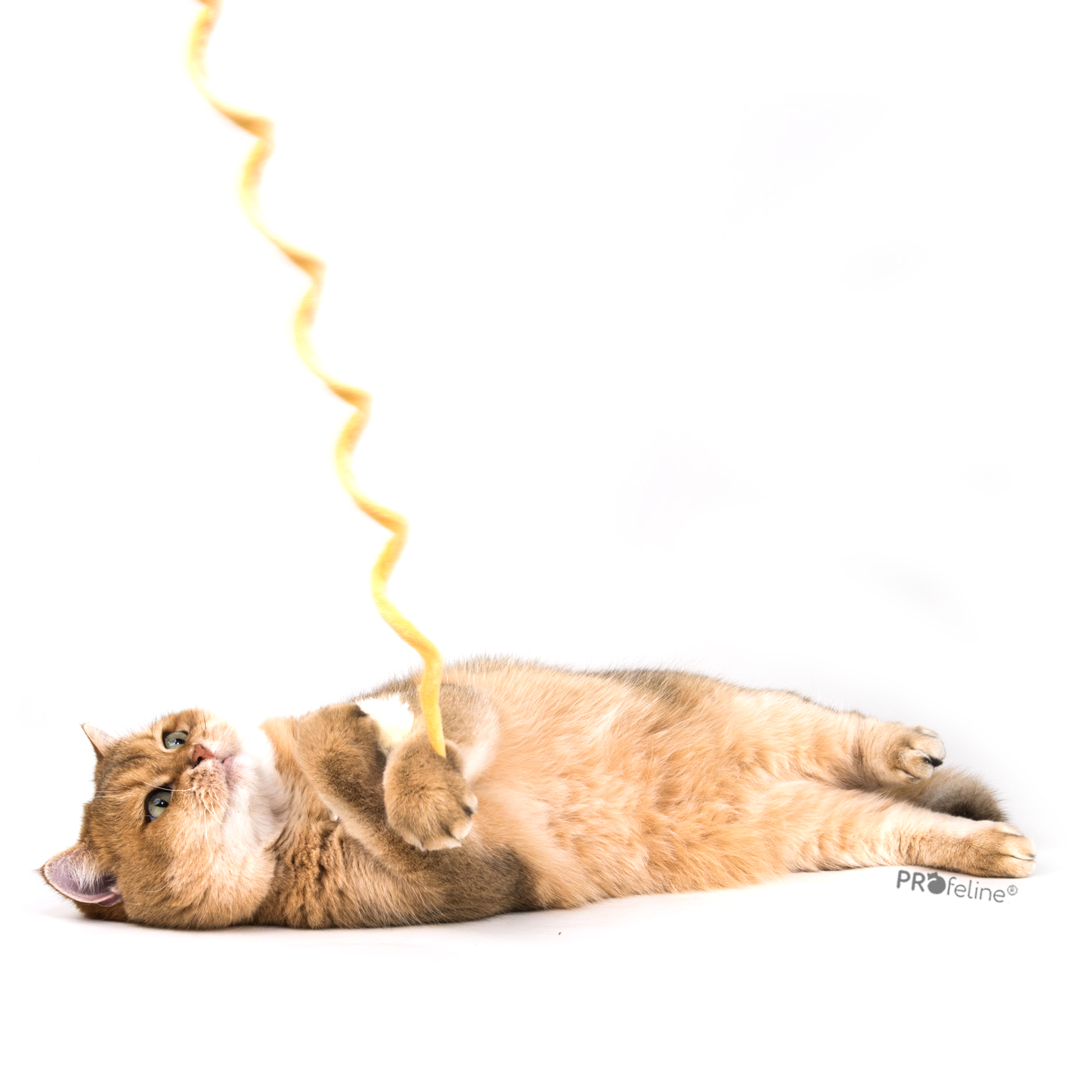 Ersatzanhaenger Springfeder für Katzenangeln gelb mit Katze