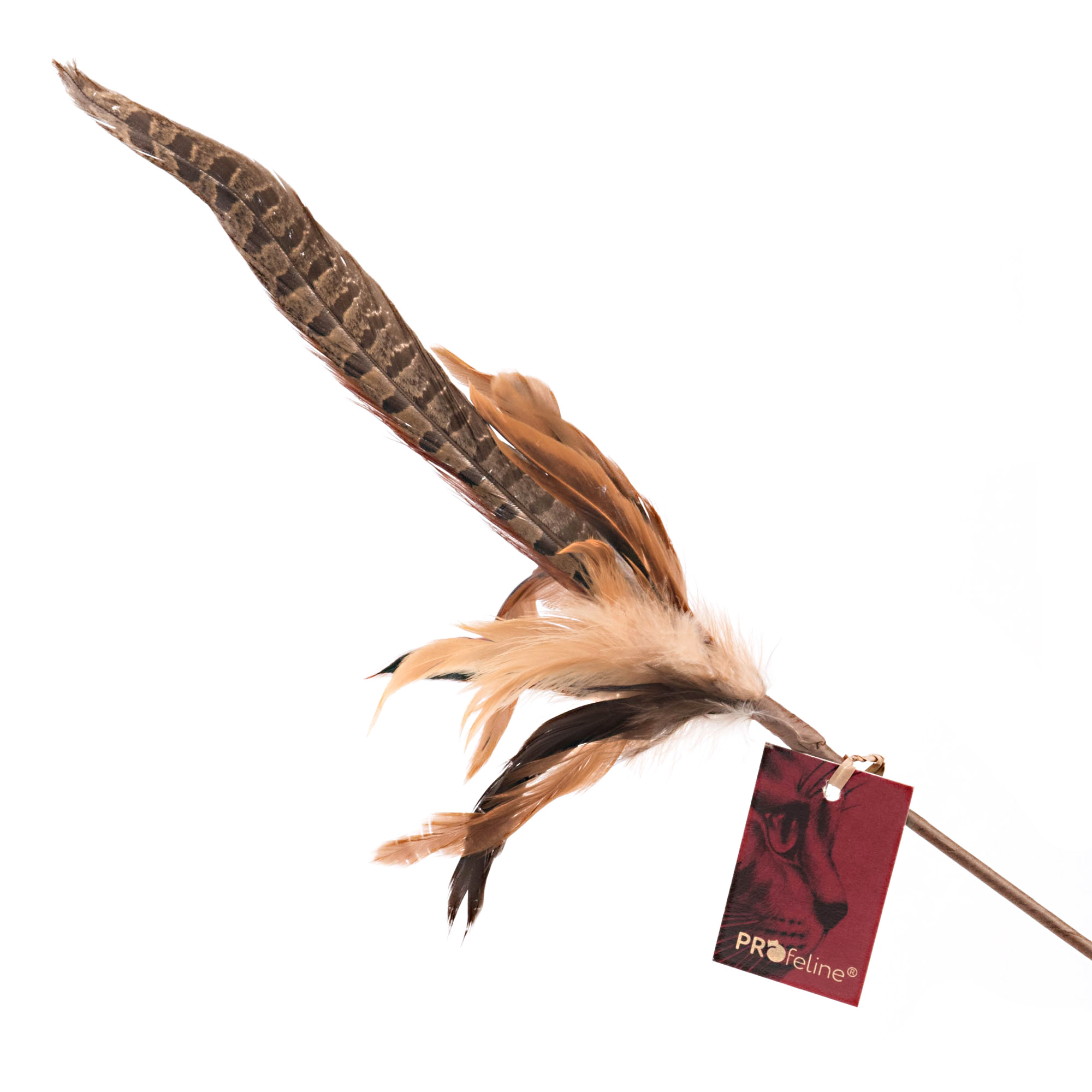 Federwedel / Cat Teaser Pheasant Feather Katzen Federwedel biegsam Fasan