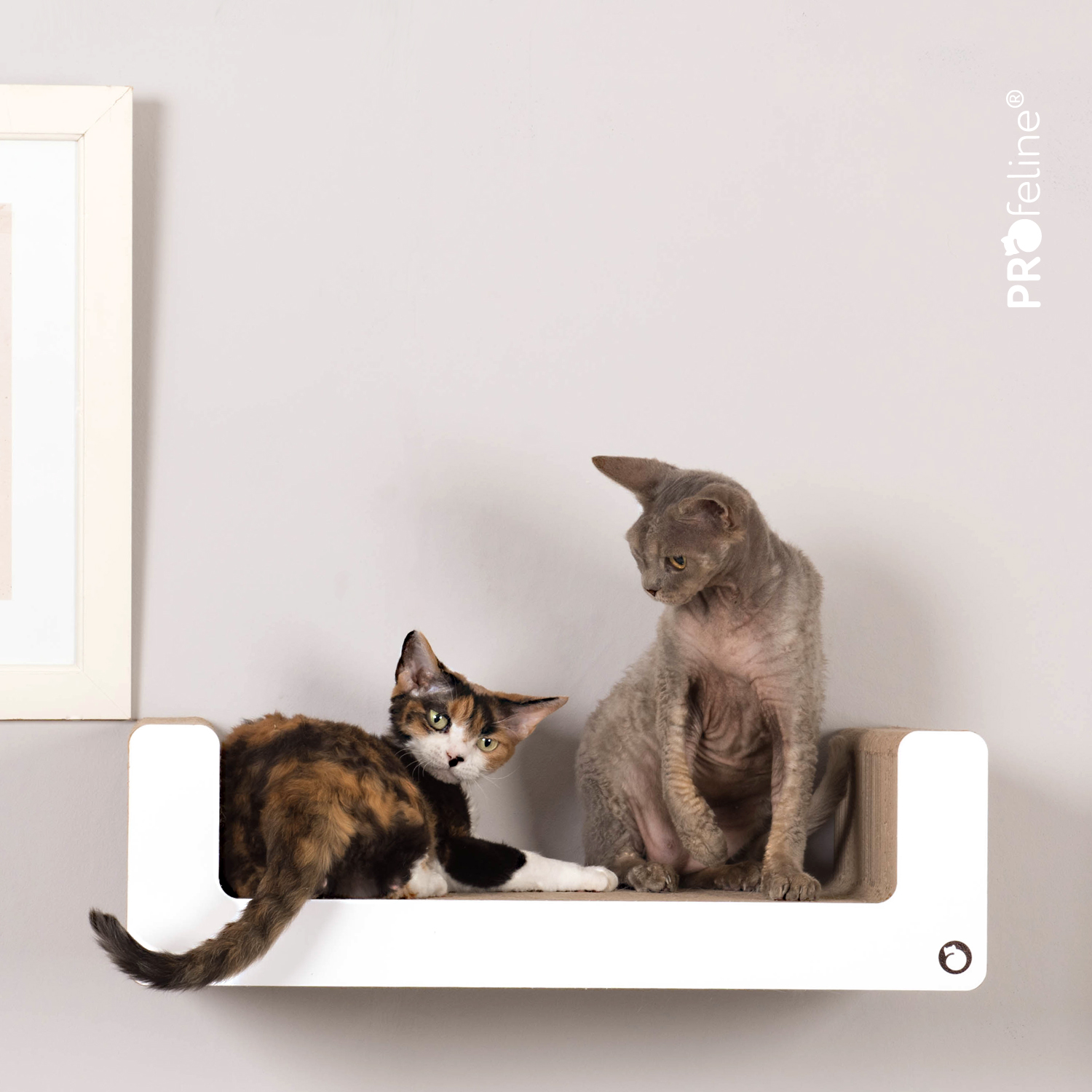 Wall Scratching Furniture Gaja Katzen Wandmöbel aus Pappe