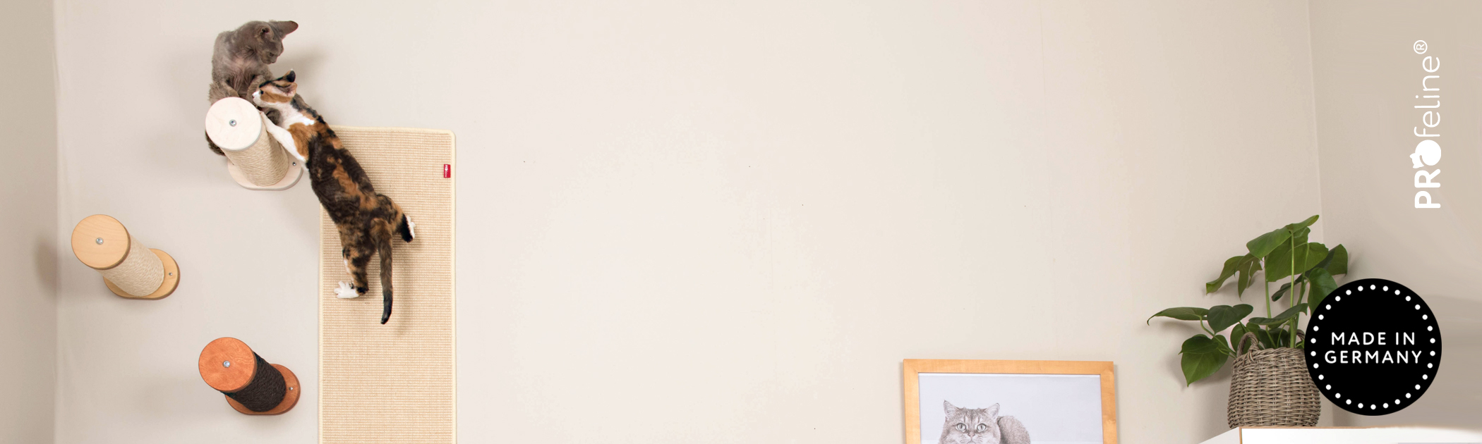 Katzen Kletterstufe mit Wand Kletterteppich