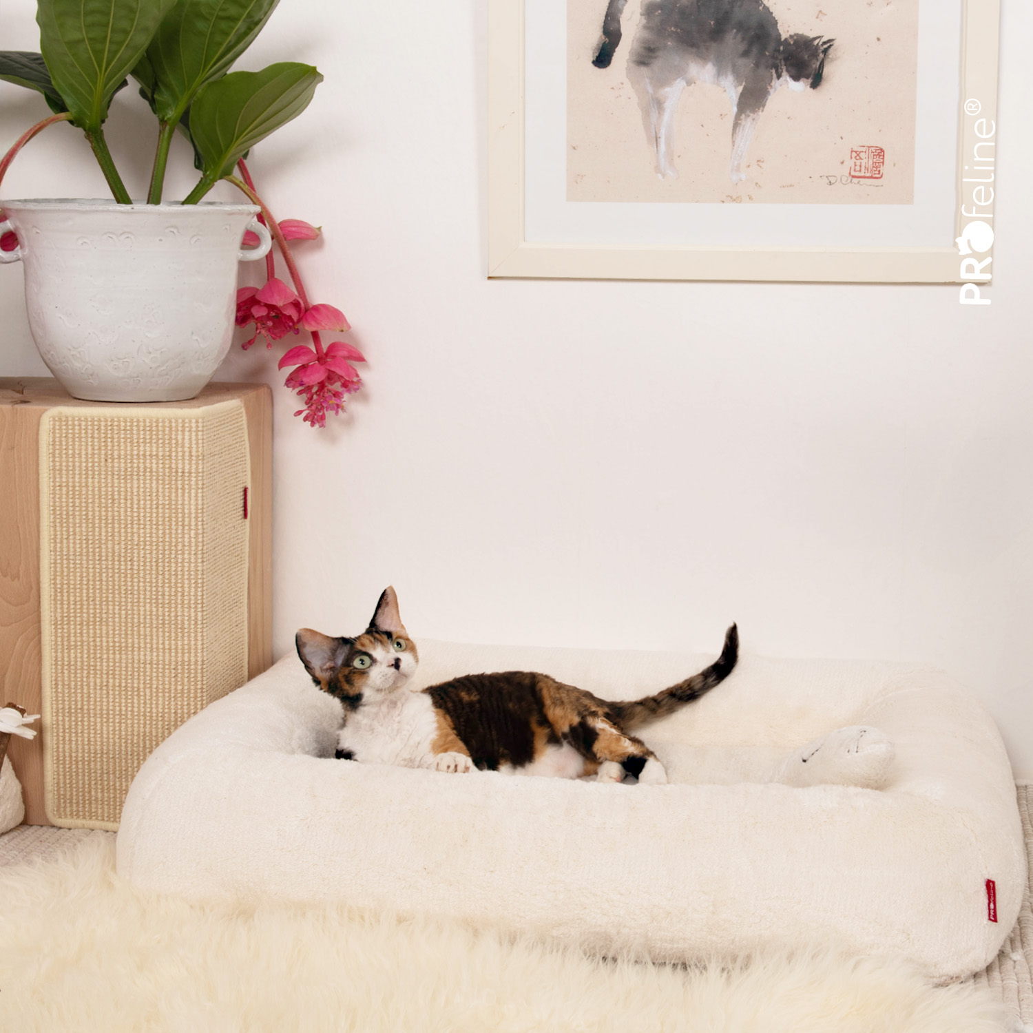 Orthopädisches Katzenbett aus Baumwolle 80 cm