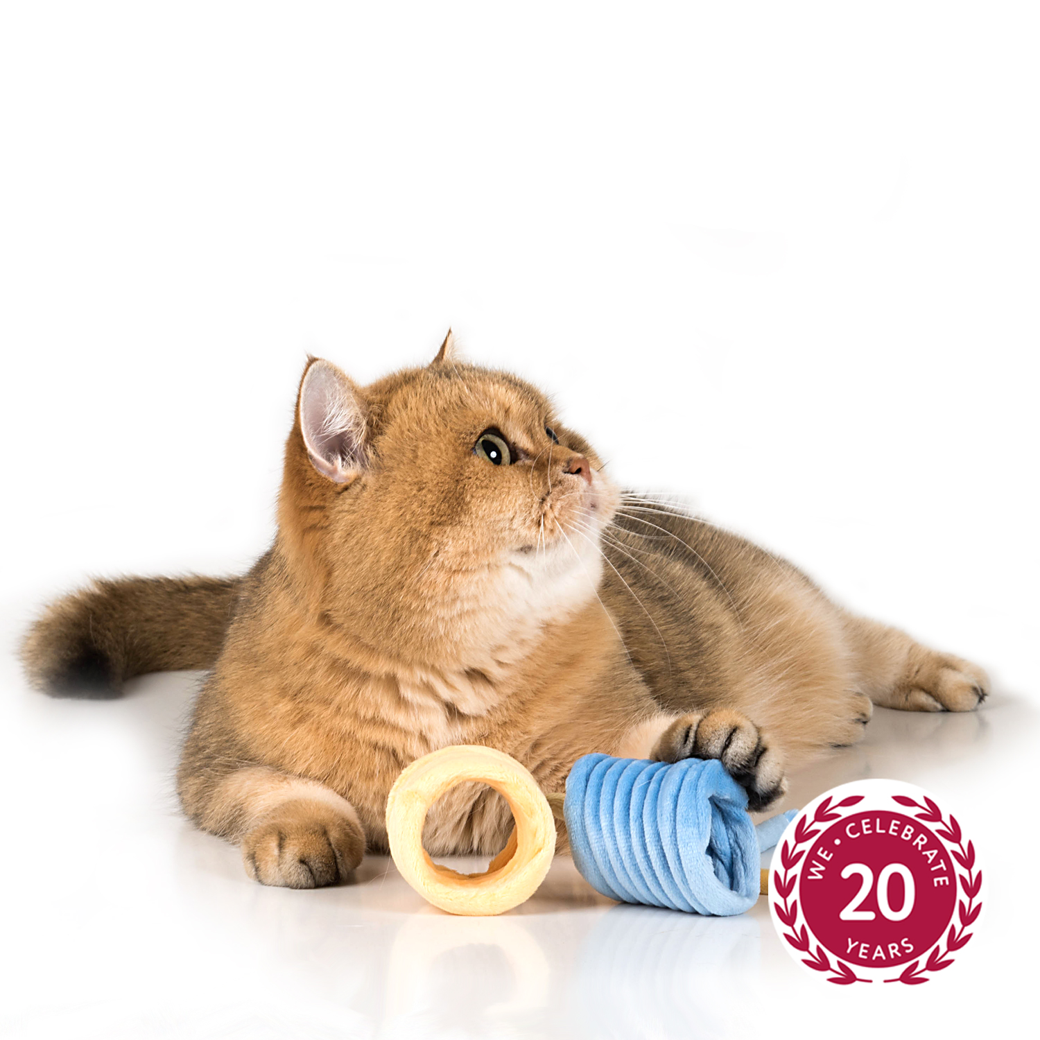 Profeline - Big Soft Spring Toy Katzenspielzeug Spirale Aktion