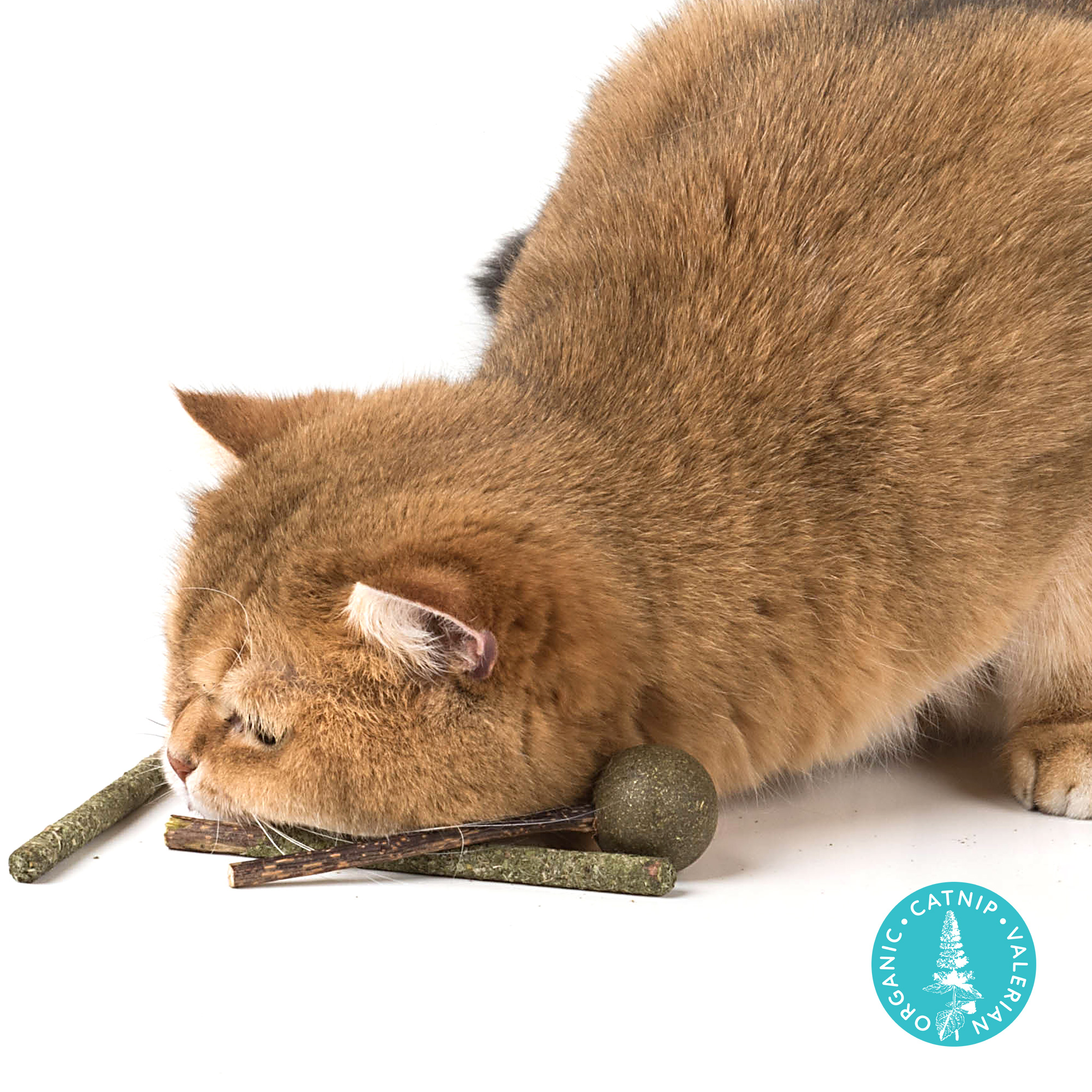 Matatabi Catnip Sticks