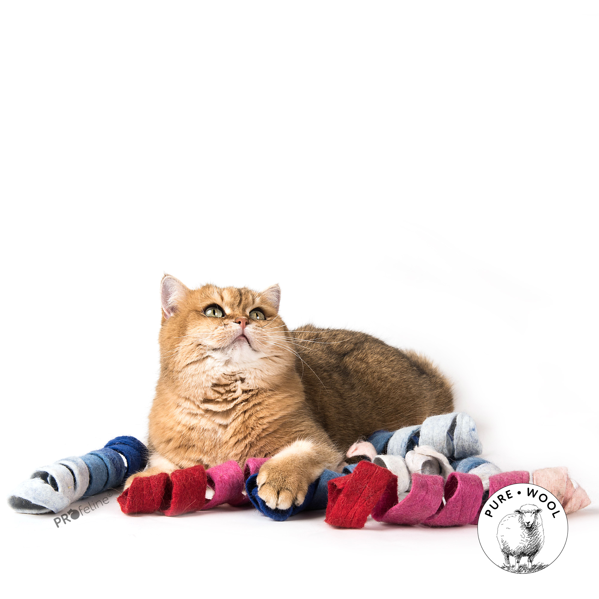 cat-toy-felted-curling-profeline