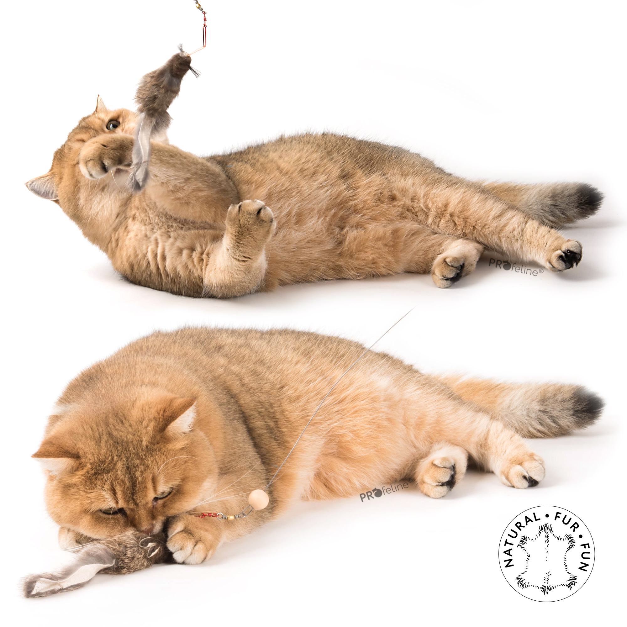 cat-toy-refill-squirrely-maja