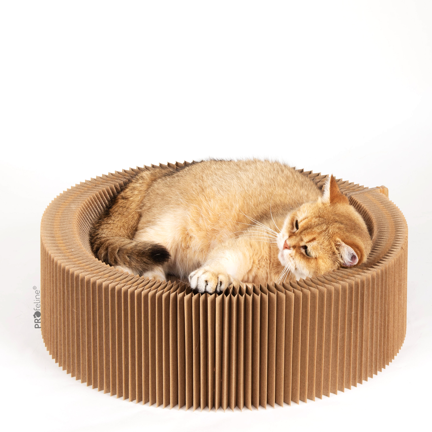 Katzenbett Accordeon faltbar