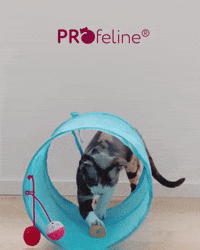 Cat Fun Tunnel Blue Katzentunnel