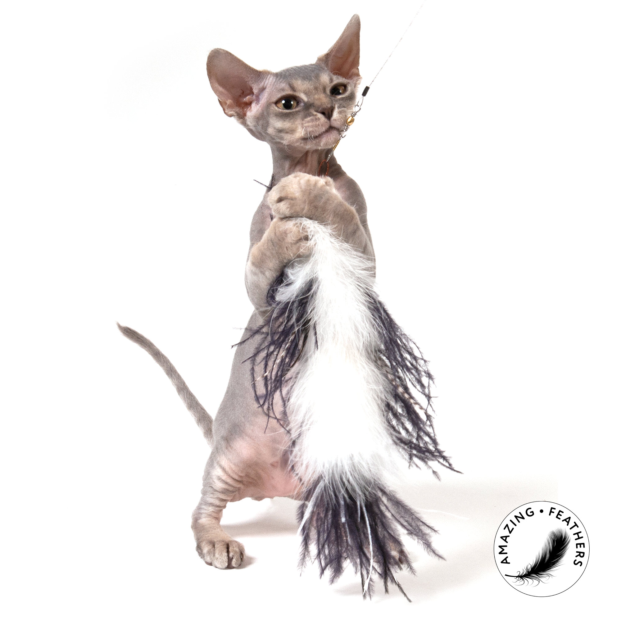 cat-toys-ostrich-refill-SP192OR-1 Ostrich Refill / Anhänger