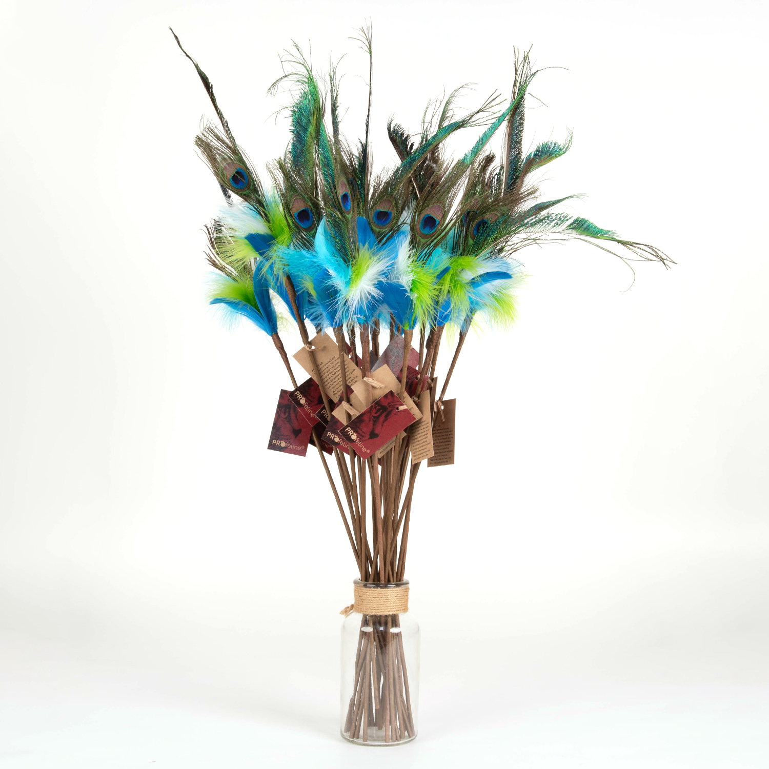 Katzen Federstab Peacock Dancer