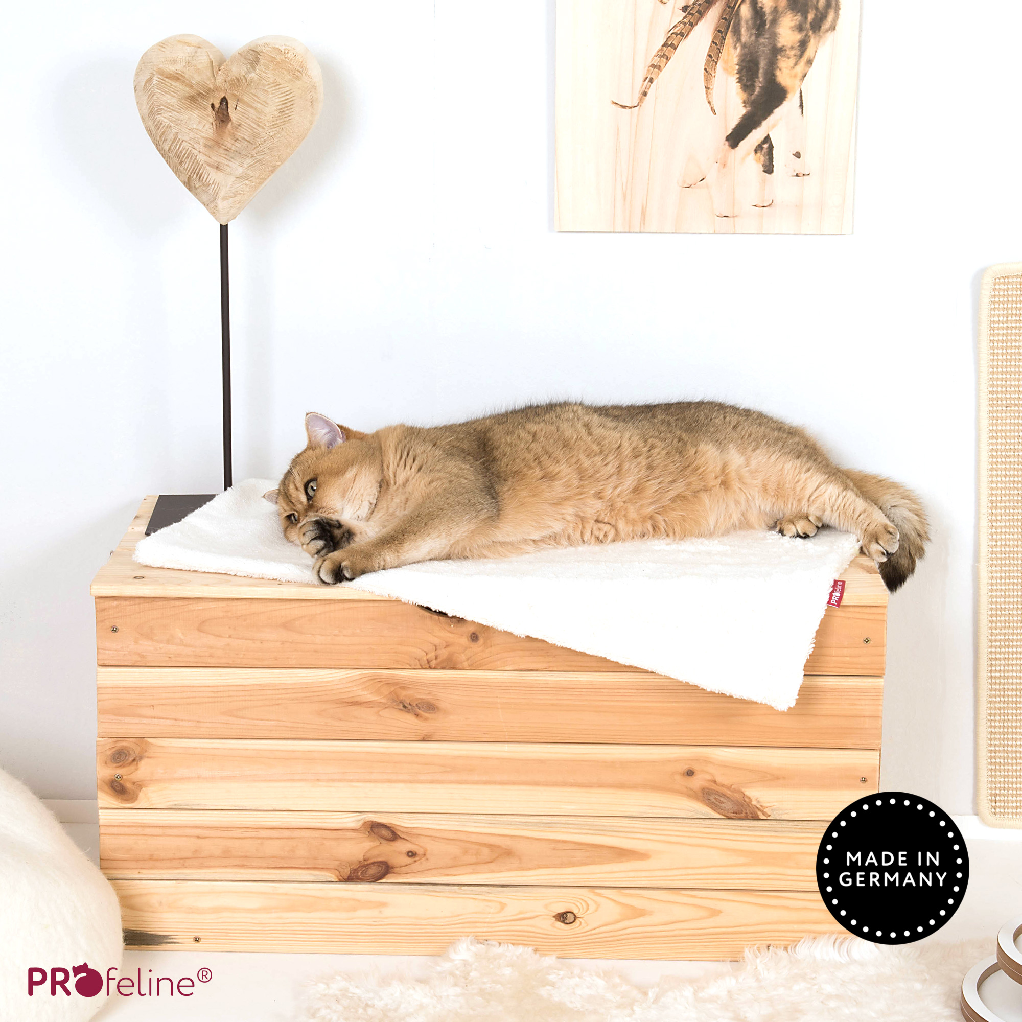 Cat blanket - Snuggle Cotton 65 x 50 cm Katzendecke Baumwolle 65x50cm