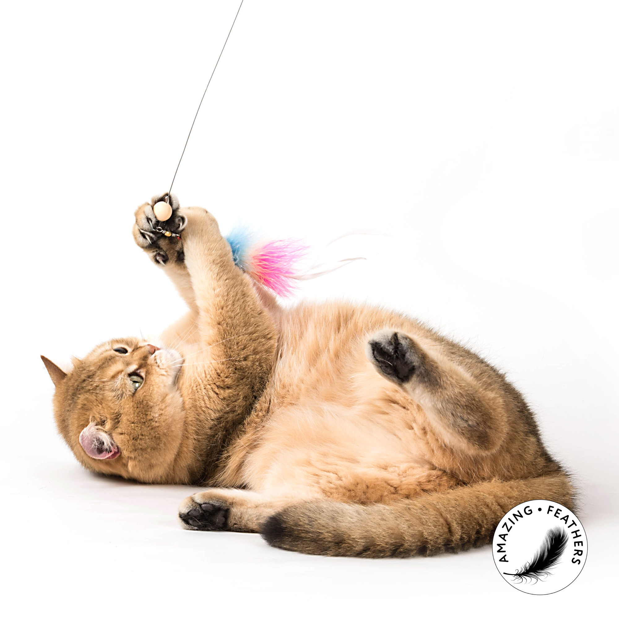 Ersatzanhänger Katzenangel Ersatzanhänger doppelpack