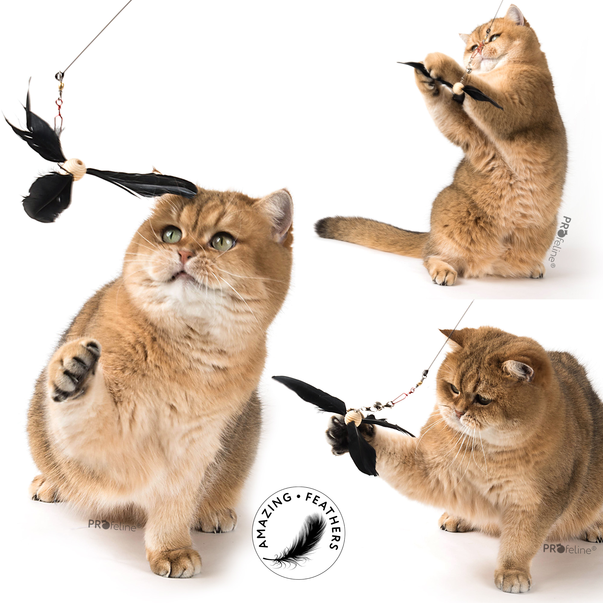 Profeline - Cat Propeller Refill / Anhänger Katzenangel ersatzanhänger Propeller
