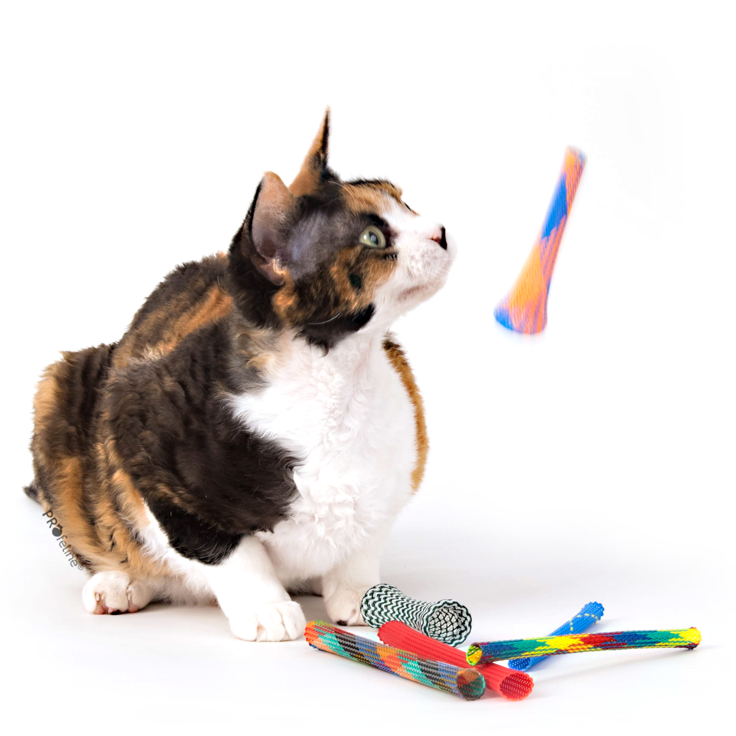 Kitty Boinks Mix das Original Made in USA Kitty Boinks Nylon Rollen Katzenspielzeug aus den USA
