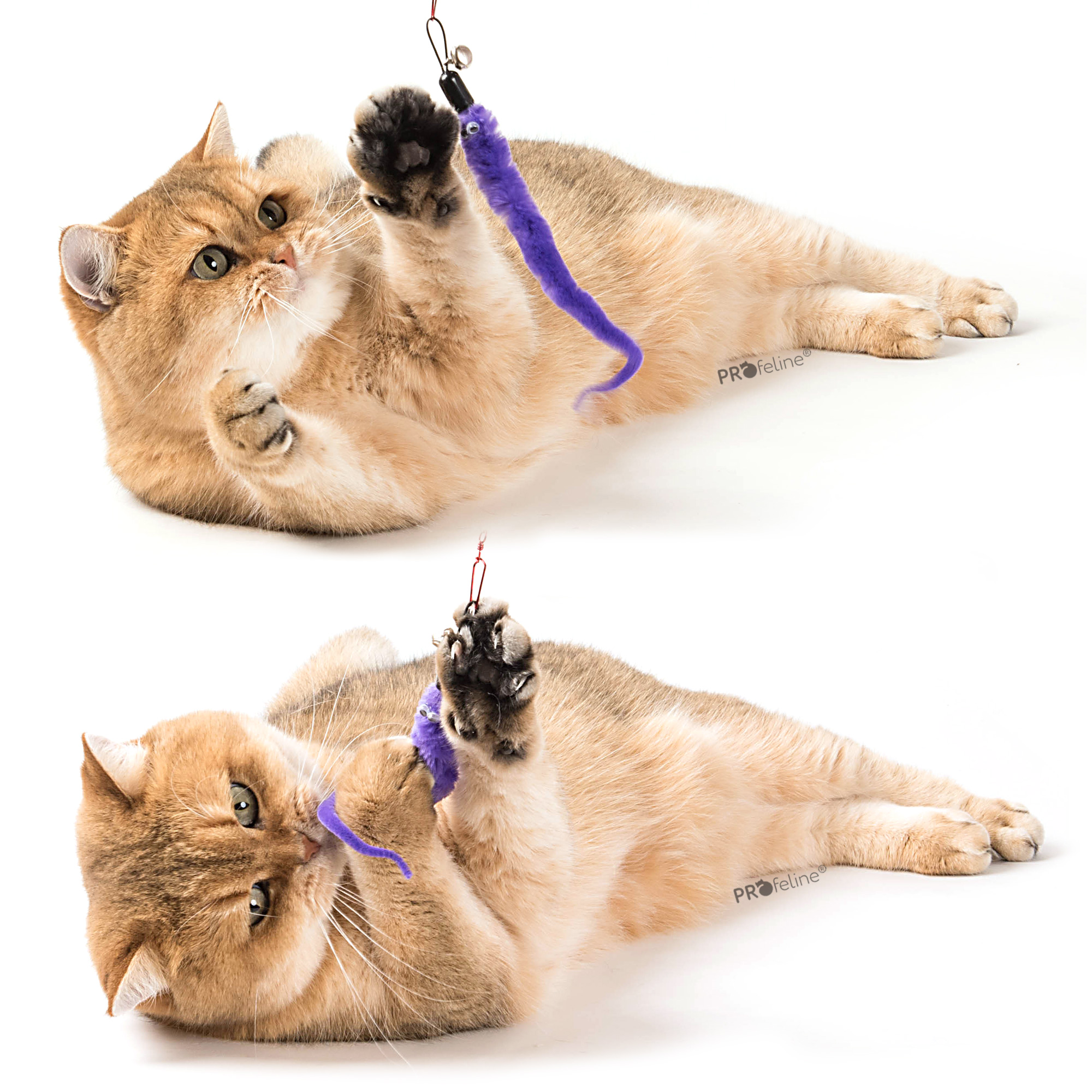 Katzenangel anhänger Wurm