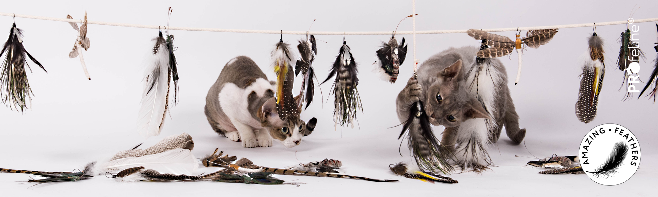 Federanhänger für Katzenangeln