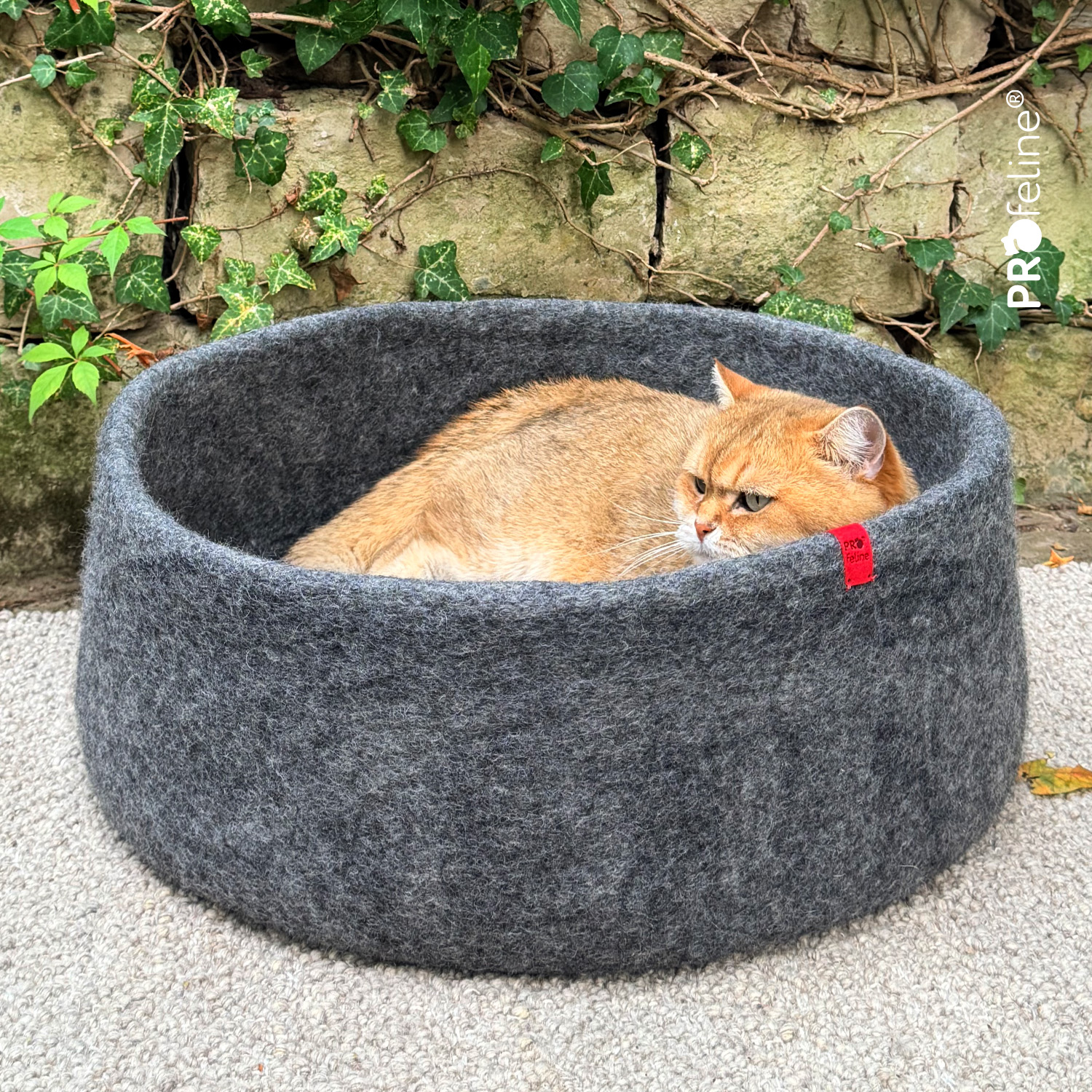 Felt Basket – Hand-Felted Cat Bed / Anthracite