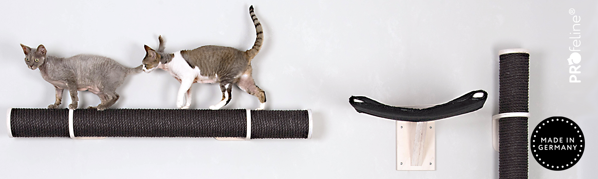 Katzen Kletterwand Catwalk