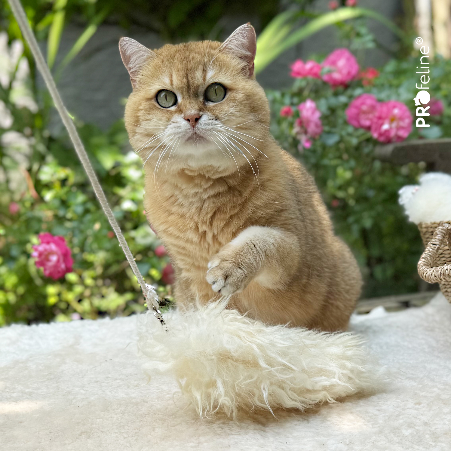 Iceland Sheep Refill / Anhänger Iceland Lambskin Refill for Cats