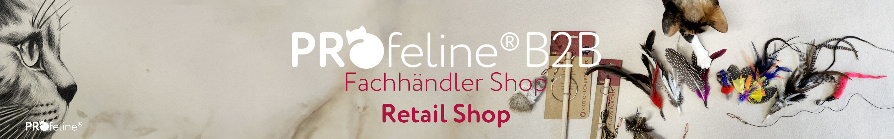 Retail Shop for Handmade Cat Toys