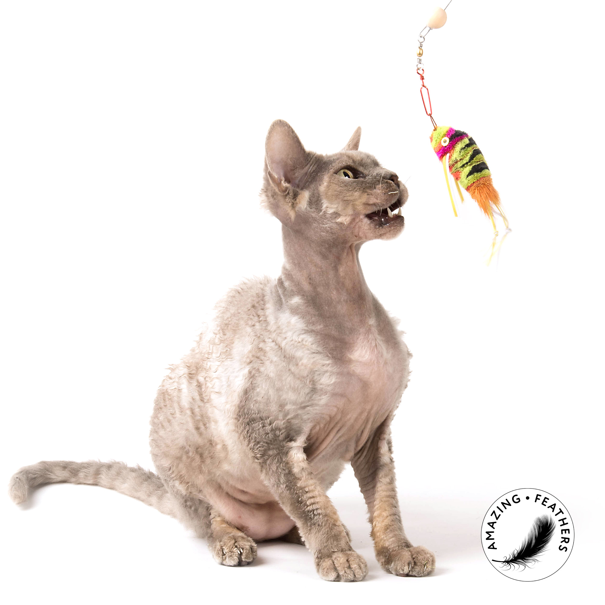 cat-toy-refill-colorful-edition-cat