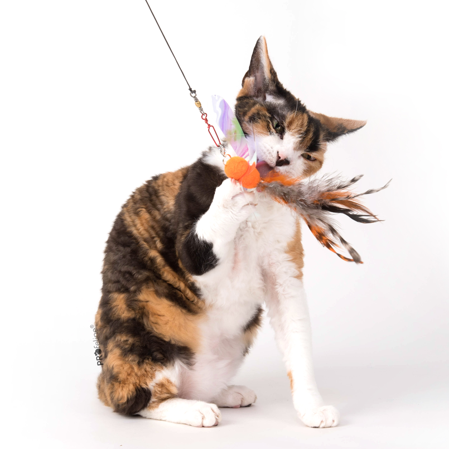 Federanhänger fantasy Katzenageln