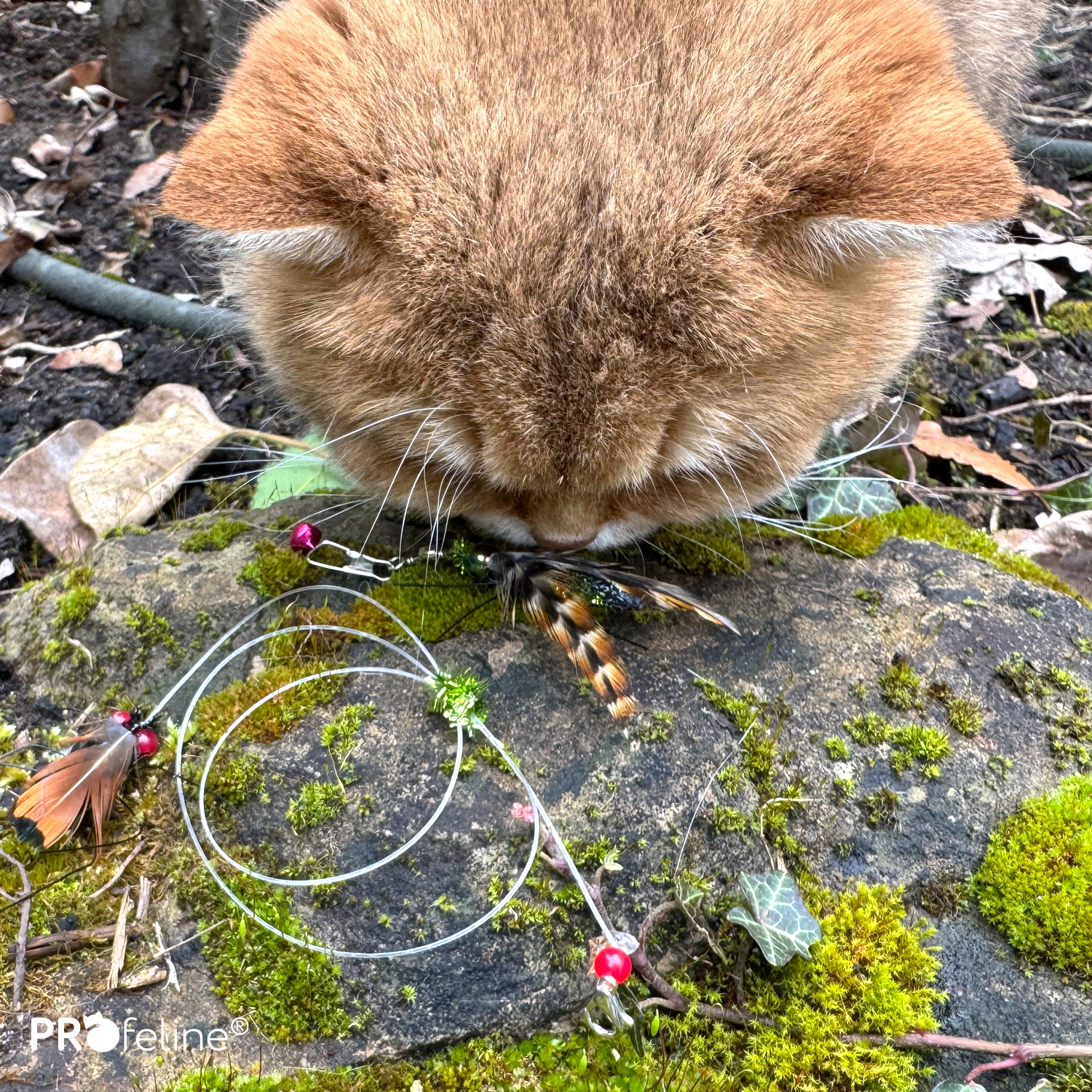 Skitty & Cricksy Refill / Anhänger Katzenshop für besonderes Spielzeug