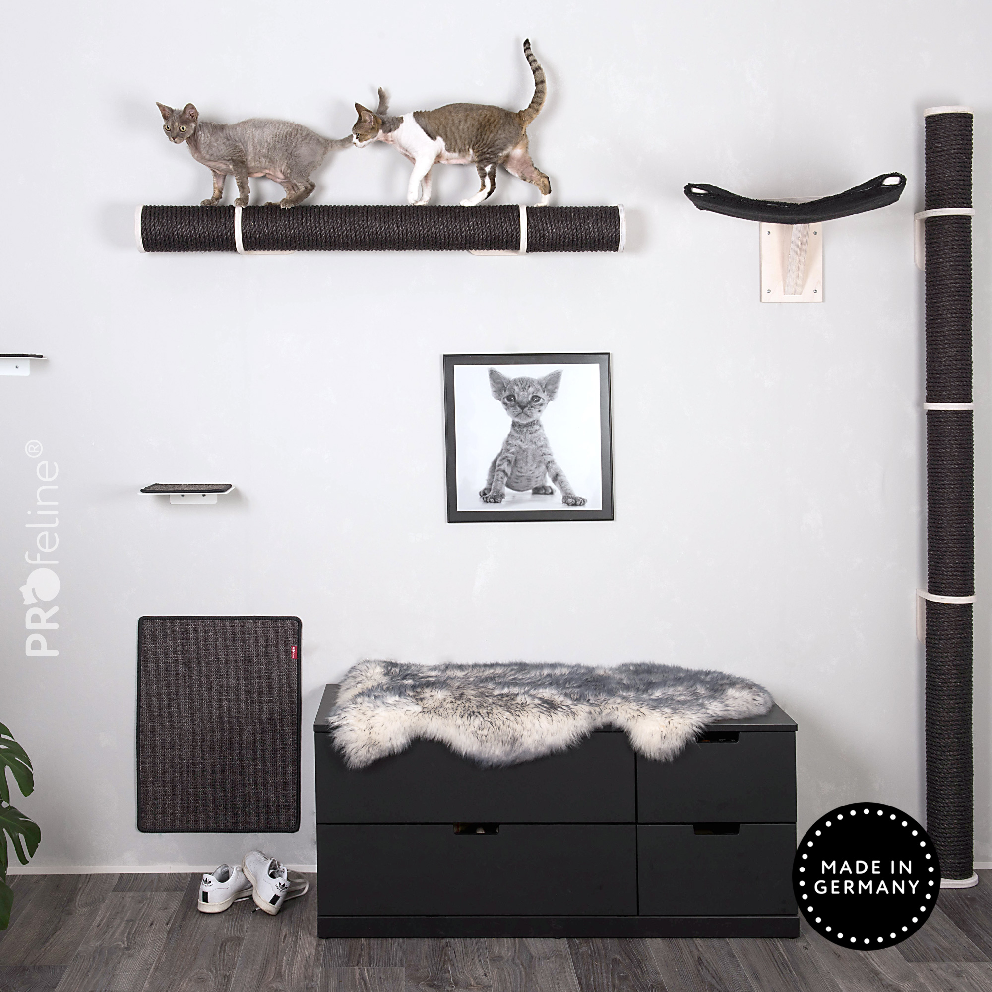 Katzenwandpark schwarz kaufen