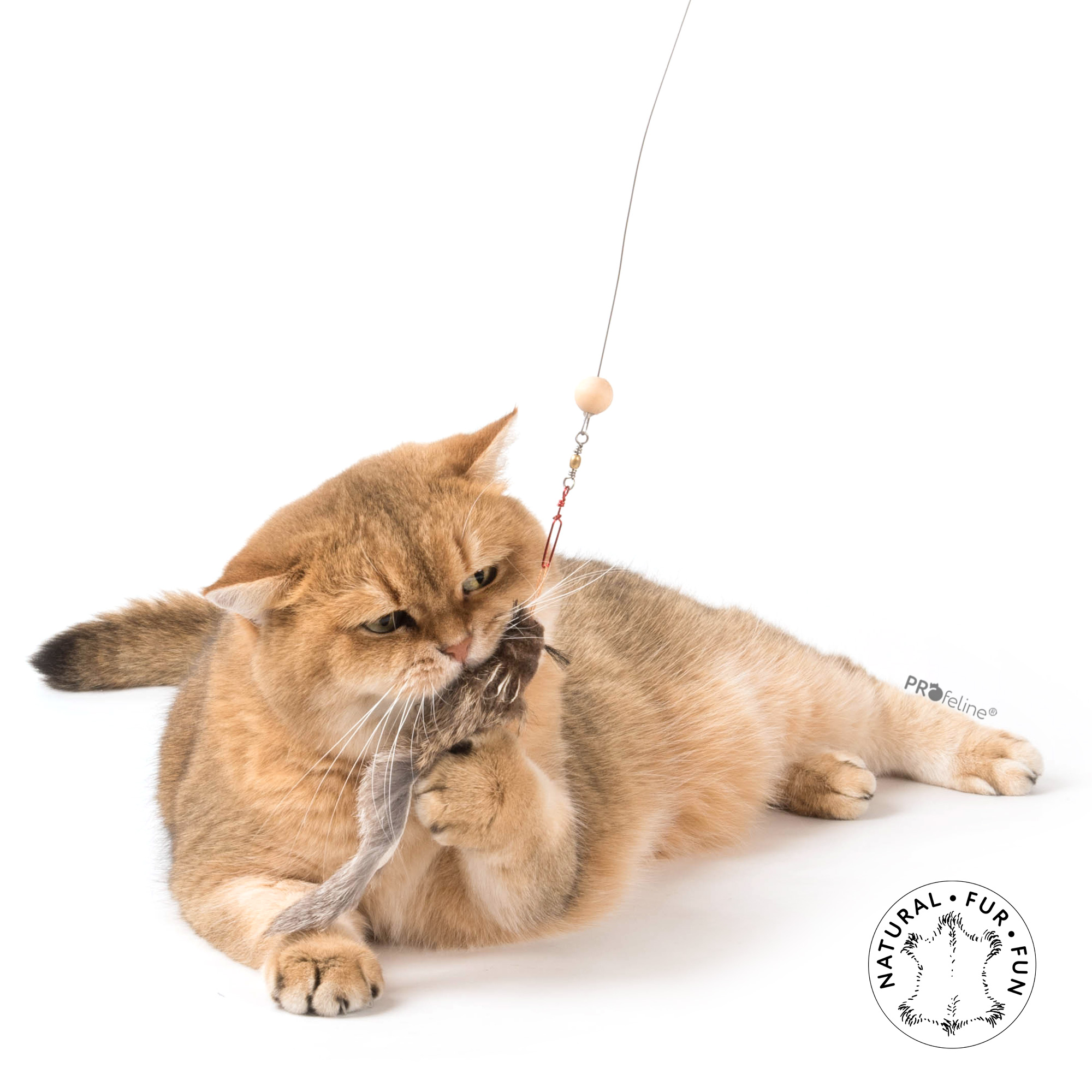 Profeline - Squirrely Refill / Anhänger