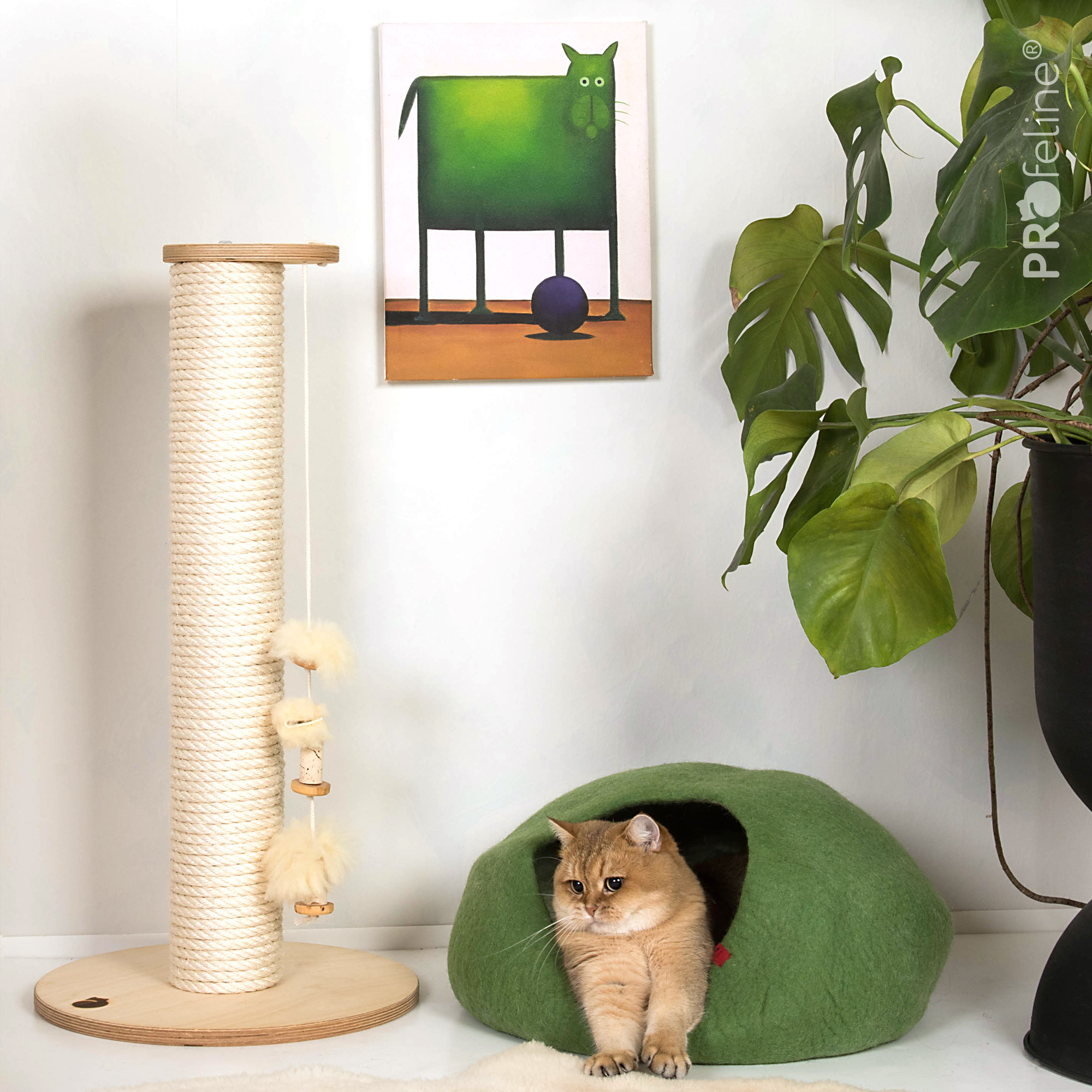 Cat Cave Woolly Green Katzen Filzhöhle grün schurwolle