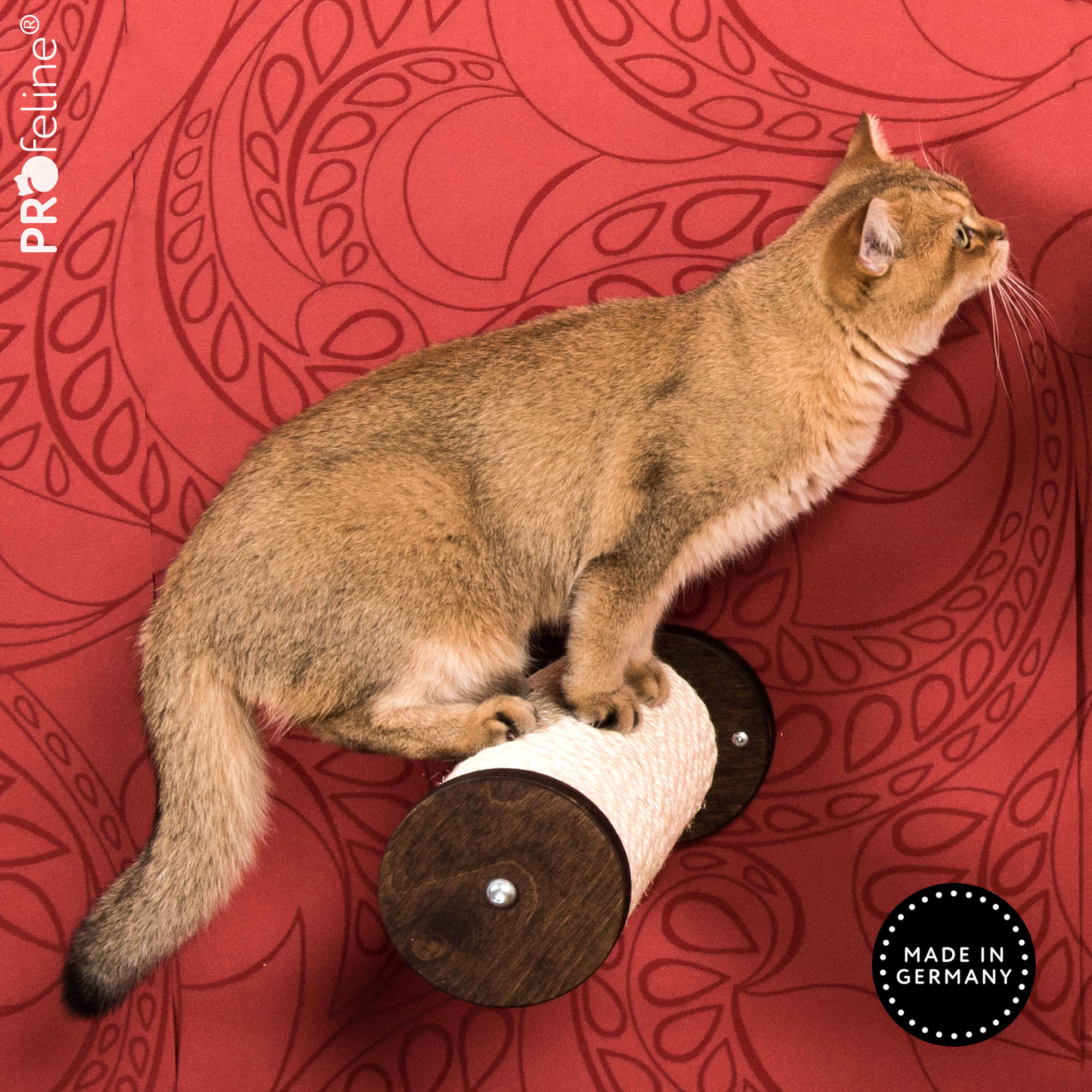 Katzen Kletterstufe eiche