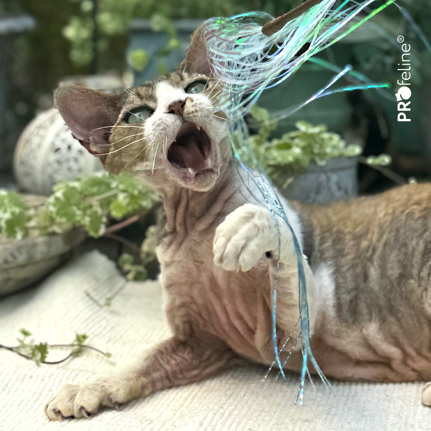 Cat Teaser Glitzy Glitter / Katzen Federstab Katzen Spielstab Glitzer Streifen